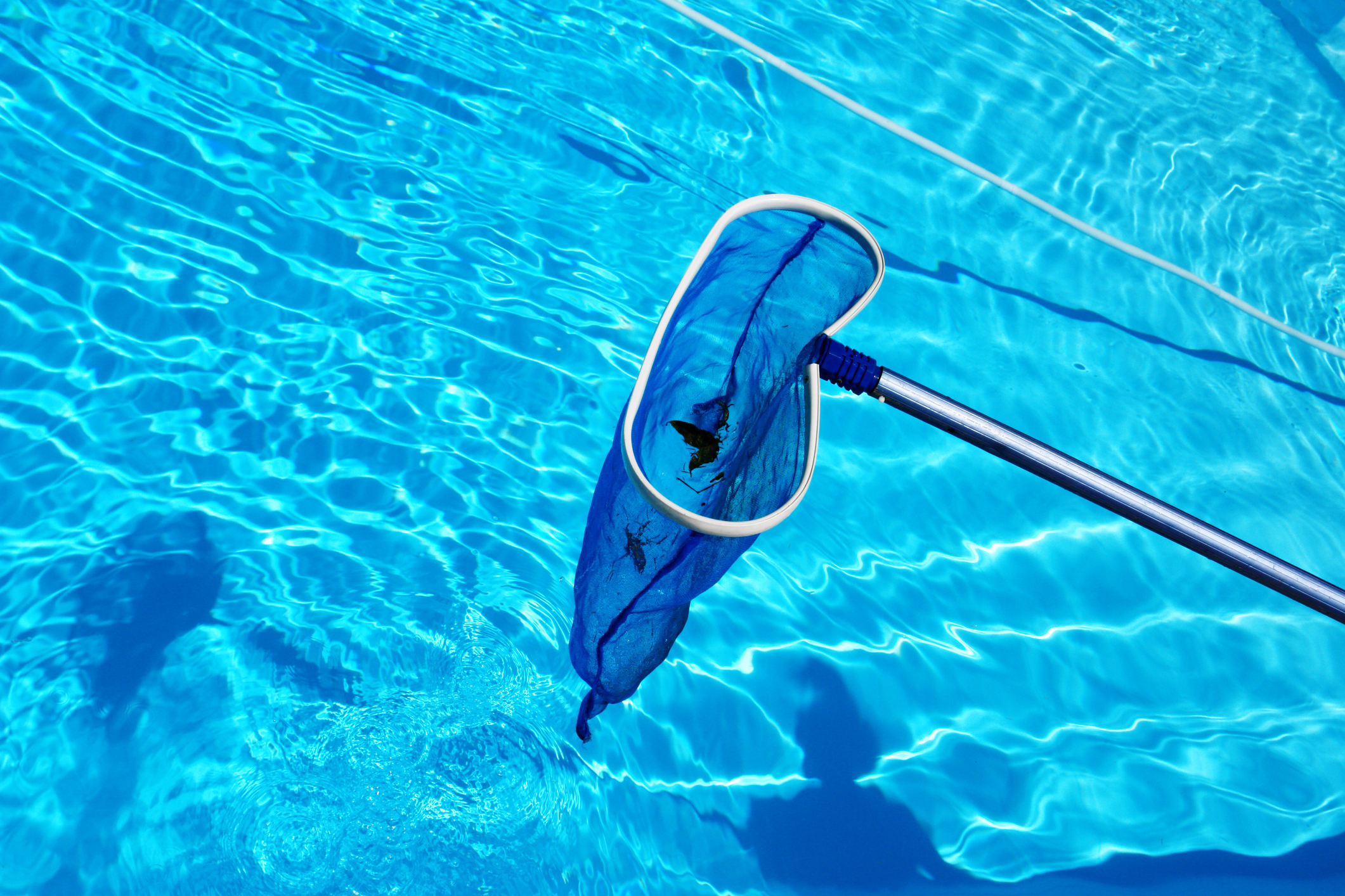 Pool leaf rake over a pool at Splash Masters pool cleaning